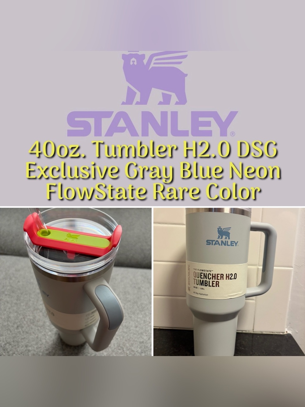 Stanley 40oz. Tumbler H2.0 DSG Exclusive Gray Blue Neon FlowState Rare Color New